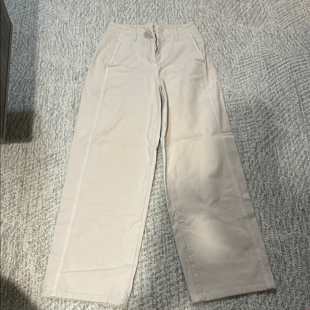Aritzia cargo pants